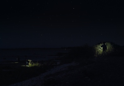 eventide 5