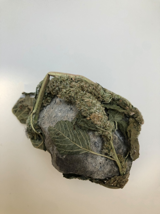 Soil and Friends