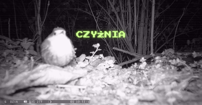 Czyżnia