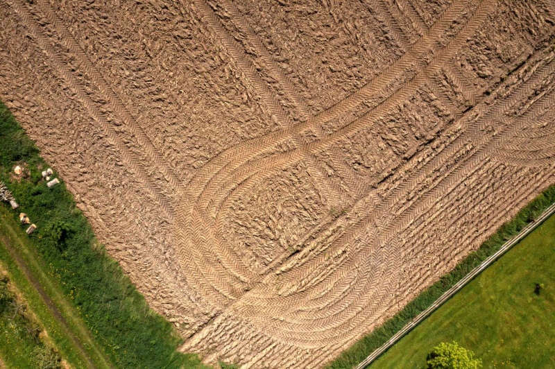 Weekend z&nbsp;wystawą Gleba i&nbsp;przyjaciele