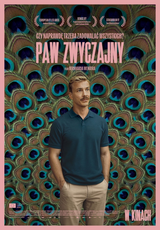 Paw zwyczajny 