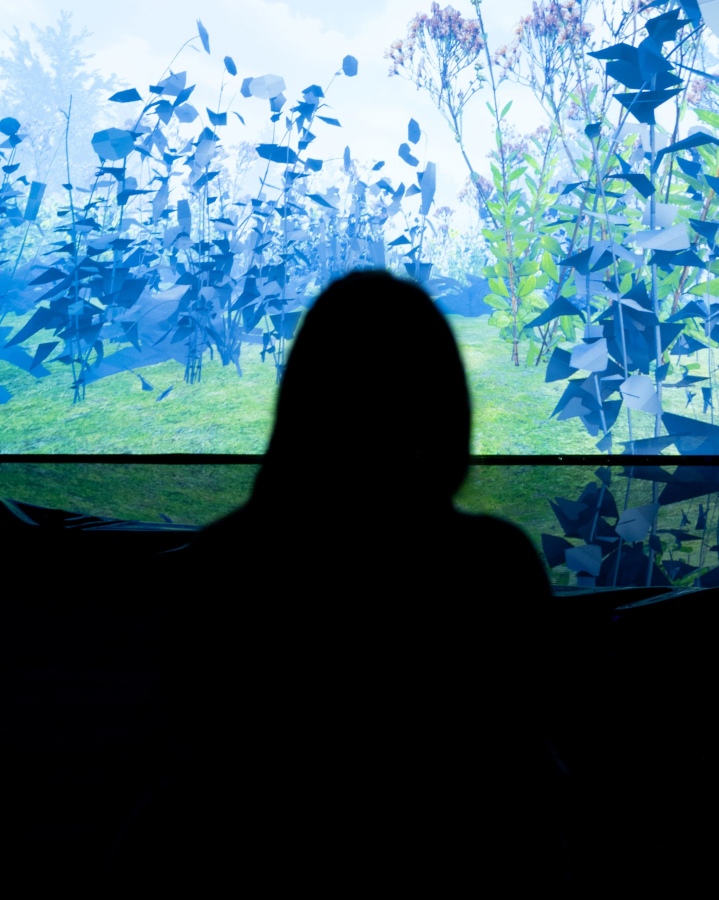 {Wszystko w jednym}