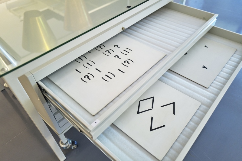 Dołącz do naszego zespołu!