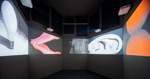 Digitalizacja dzieł multimedialnych z kolekcji Centrum Sztuki Współczesnej Zamek Ujazdowski jako narzędzie ochrony konserwatorskiej