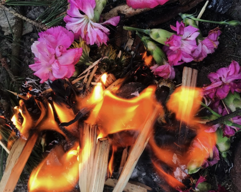 Ruchome. Pracownia Badań Choreograficznych &nbsp;