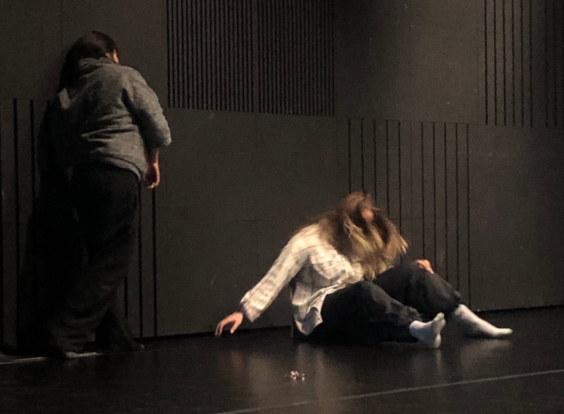 Ruchome Badania Choreograficzne