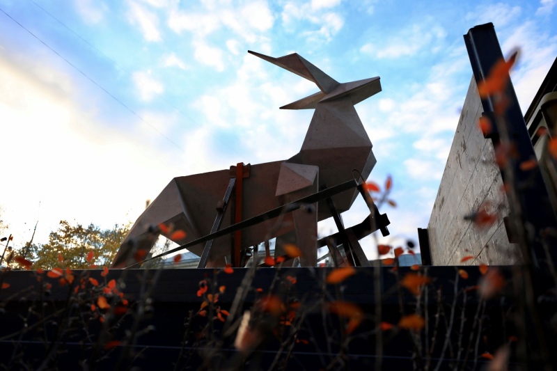 Jeleń origami Żanny Kadyrowej&nbsp;w drodze do&nbsp;Wenecji