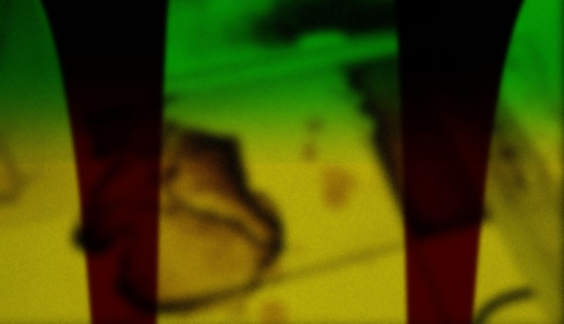 This Cat Was Drawn During the War