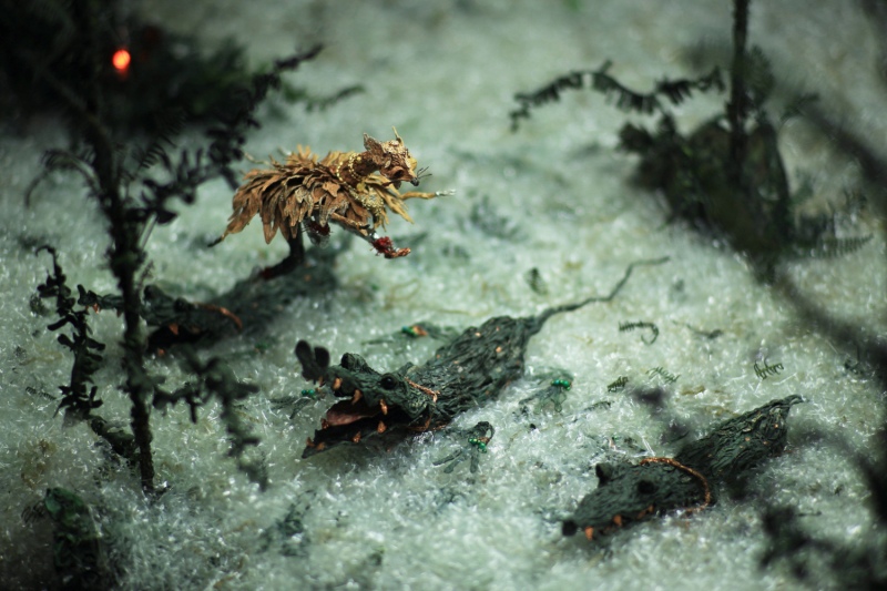 ZHANG XU Zhan, kadr z&nbsp;video Compound Eyes of Tropical