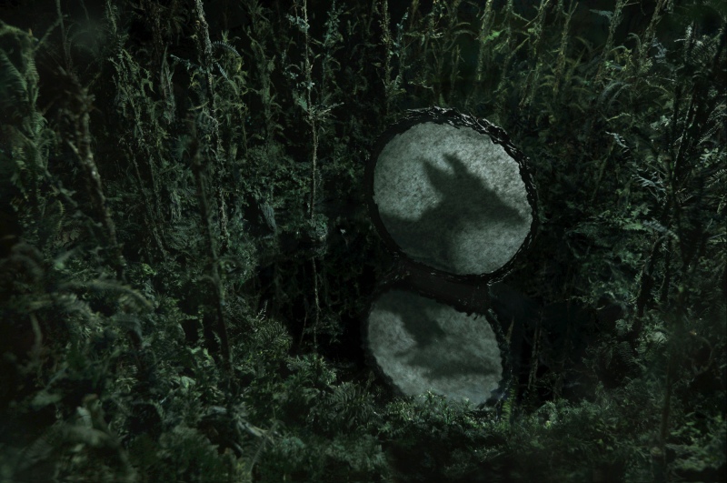 ZHANG XU Zhan, kadr z&nbsp;video Compound Eyes of Tropical
