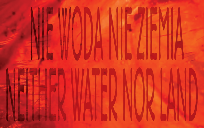 Die Erschöpften [The Exhausted] ~ Philipp Modersohn with the Breitenfeldermoor and the Nambigirwa Wetland in collaboration with Ayumi Rahn, John Omara, Mary Namukose, Wilma Lukatsch
