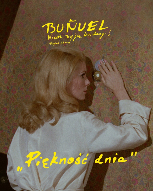 Piękność dnia