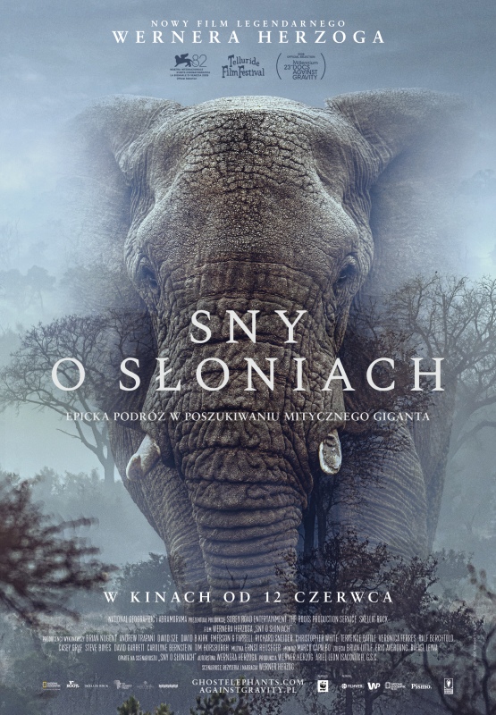 Sny o słoniach