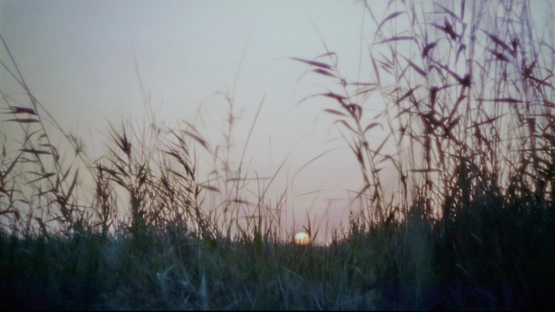 {Stany graniczne}